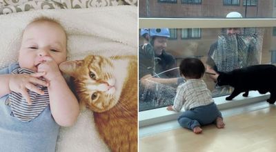 Adorable babies and cats 