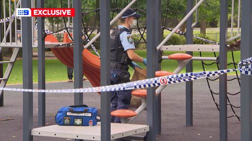 A thirteen-year-old boy has been rushed to hospital after a dog attack in Sydney.