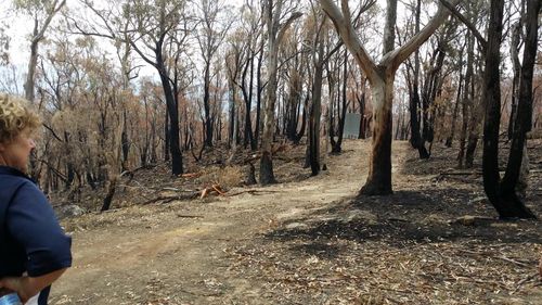 Katoomba, New South Wales