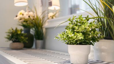 The key to making faux plants work as stylish décor
