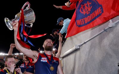 1. Max Gawn - Melbourne