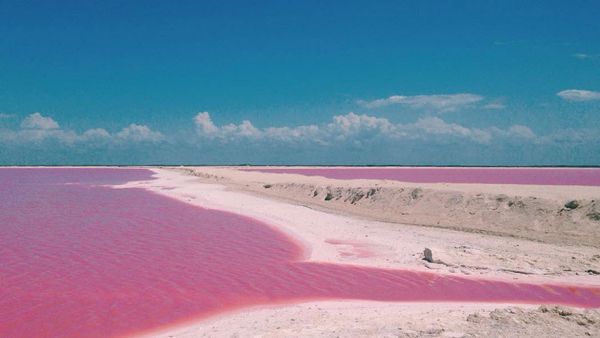 Mexico S Beautiful Pink Lake Is An Instagram Hit 9travel Mexico S Beautiful Pink Lake Is An Instagram Hit
