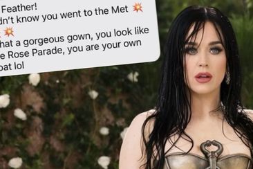 FAKE PICTURE OF KATY PERRY *DISCLAMER THIS IS AI-GENERATED