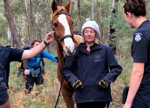 Narelle Davies, 52, appears to be in good health after being found alive. (Eliza Rugg / 9NEWS)