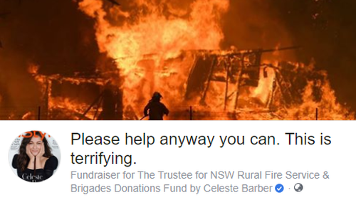 The fundraiser started with a $30,000 goal, after Ms Barber's family was affected by the bushfires in Eden, NSW.  The fundraiser accumulated a total of $51.3 million in donations.