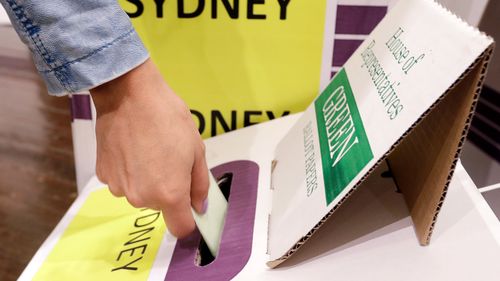 A voter casts their ballot