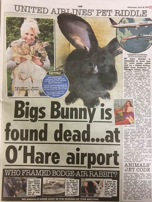 The story so unreal you couldn't make it up. Source: The Sun