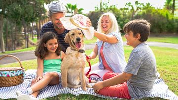 Family dog picnic