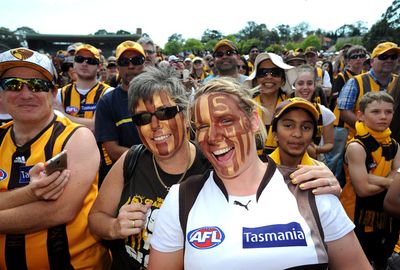 Fans wore their colours with pride as they revelled in Hawthorn's flag success