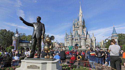 A spokesperson said Disney venues do not tolerate violence after a Florida woman allegedly assaulted a taxi driver over a cigarette.