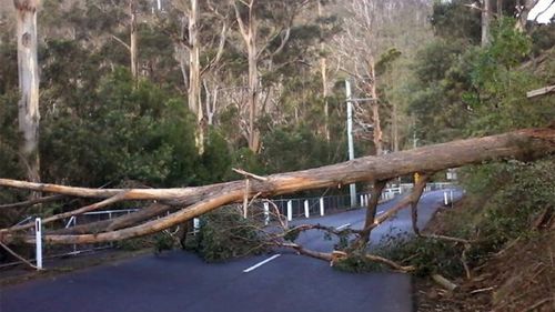 Melting snow poses Tasmanian river flood risk