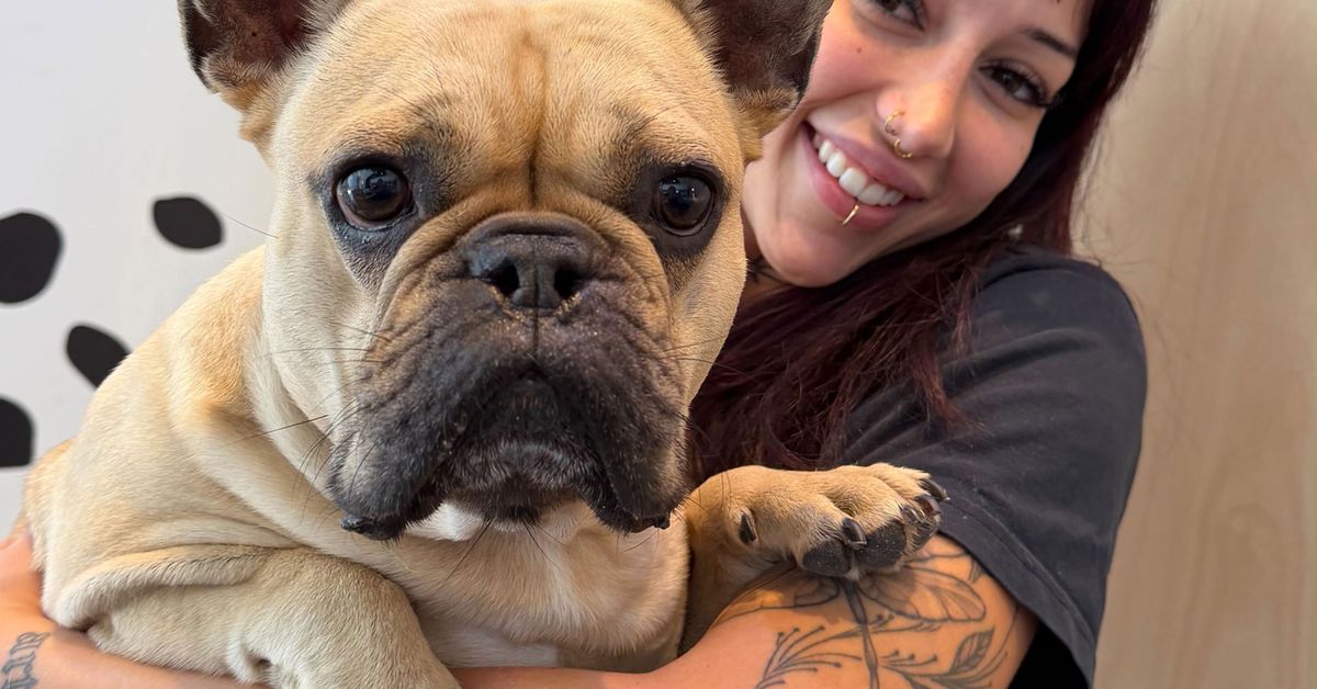 Why we're seeing the rise of pet parents across Australian suburbs