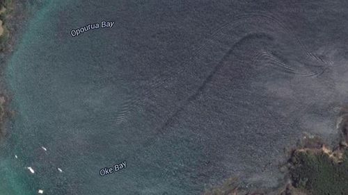 'Mystery sea serpent' captured by Google Earth off New Zealand
