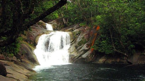 Body of missing UK tourist found downstream of Josephine Falls, near Cairns