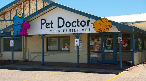 The vet said they were unable to provide contact details for the new owner.