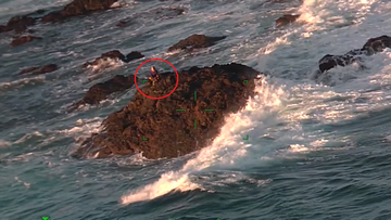 The 56-year-old ﻿was spotted squatting on top of the outcrop as waves crash around him. 