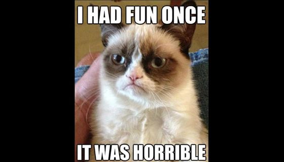 Best Internet Memes 9finance