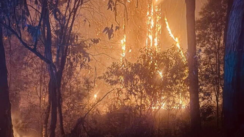 Carlisle River Fire Victoria visto em 25 de janeiro de 2026