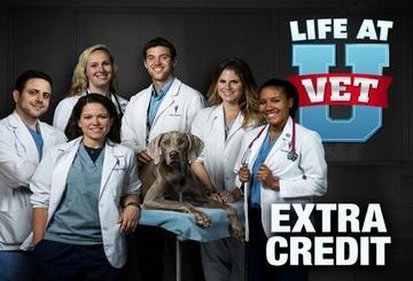 Life At Vet U: Extra Credit
