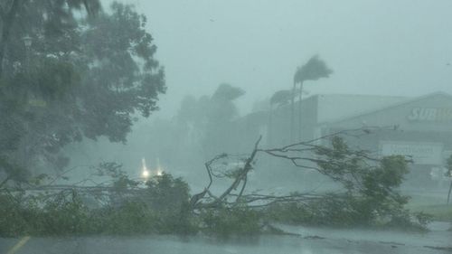 Darwin was devastated by Cyclone Marcus last weekend.