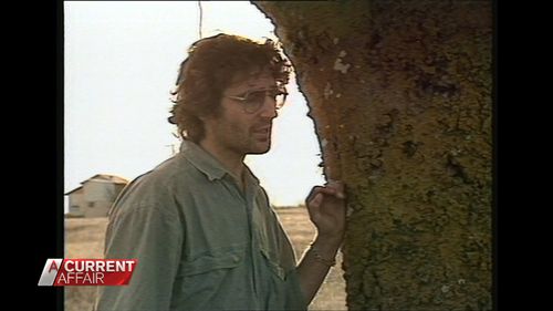 David Koresh stockpiled arms in his cult compound.