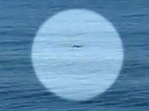 Shark 'clearly' spotted before attacking Fanning