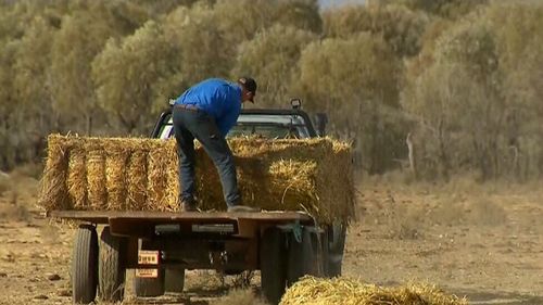 The $500,000-worth of hay will come as a much-needed helping hand to struggling farmers who are battling to feed their livestock.