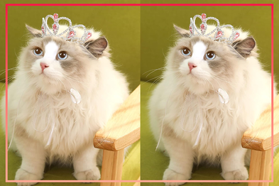 9PR: Lovelyshop Pink Gem Rhinestone Pet Tiara