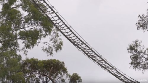 A rope ladder over Compton Road. (Griffith University)