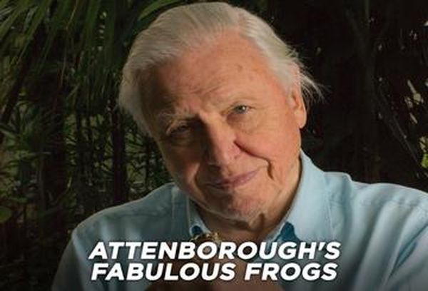 David Attenborough's Fabulous Frogs