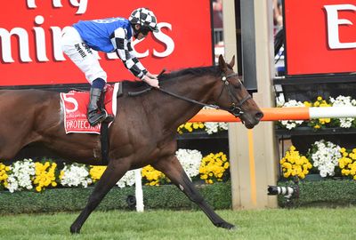 Protectionist crosses the line in the 2014 Melbourne Cup. (AAP)