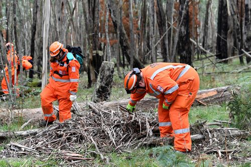 Crews search for evidence near the spot where Karen's remains were discovered. Picture: AAP