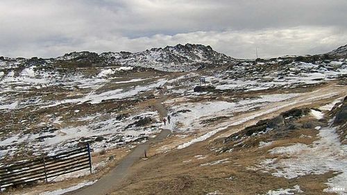 Kosciusko Walking Track yesterday. Up to 40cm of snow is set fo fall on the NSW and Victorian Alps this week. (Thredbo SnowCam)