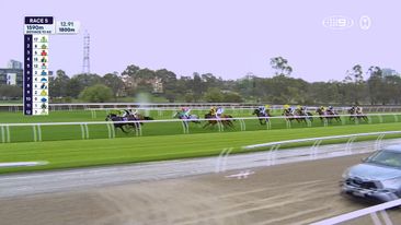 TAB Champions Stakes Day: Race 5 - Queen Elizabeth Stakes