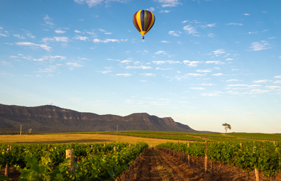 Hot air balloon floats over Hunter Valley winery