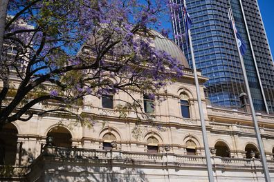 The river town has many jacaranda; the city council even planted plants to decorate the city in purple.