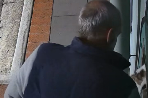 Quatro gatinhos foram jogados no lixo de uma biblioteca depois do expediente pela terceira vez enquanto as autoridades investigam quem foi o responsável. ﻿