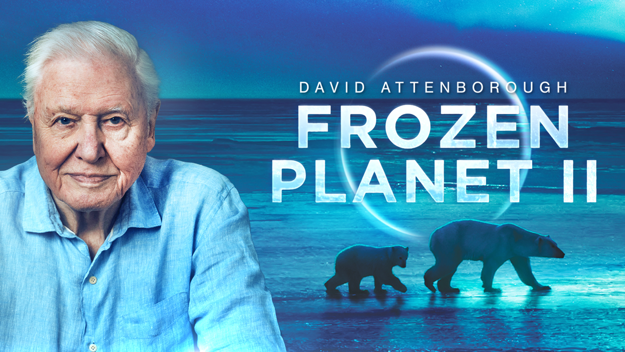 Dive into all five Frozen Planet II worlds