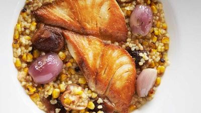 <a href="http://kitchen.nine.com.au/2016/08/16/21/32/nicky-riemers-pan-roasted-hiramasa-kingfish" target="_top">Nicky Riemer's pan roasted hiramasa kingfish with charred corn, fregola and shiitake mushrooms</a>