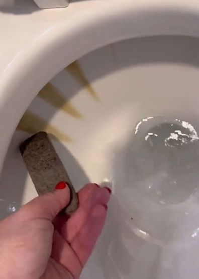 Professional cleaner Allison addressed her reasons for not wearing gloves to clean a toilet bowl in a TikTok video.