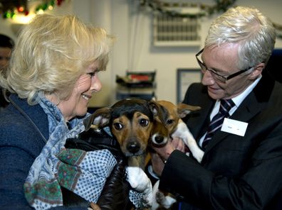 Camilla, Duchess of Cornwall, stands next to television presenter Paul O'Grady while holding her two adopted dogs Bluebell and Beth during a visit to the the Battersea Dogs & Cats Home in London on December 12, 2012.  