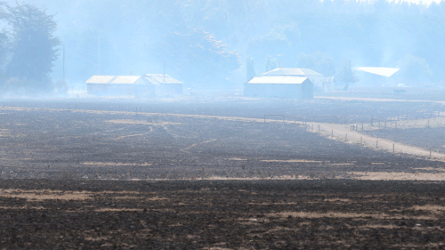 Many farm buildings and farmland has been burn out in the Victoria fires. (AAP)