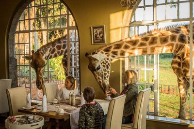 7. Giraffe Manor – Kenya