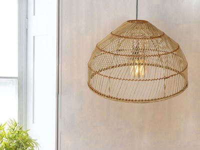 Elisha light shade — Temple & Webster