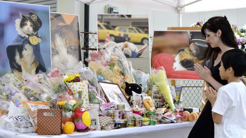 The adored feline was farewelled at a tradtional Shinto funeral service. (AAP)