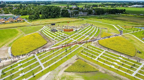 One tree for each victim was planted, with the forest forming the shape of a ribbon. (AAP)