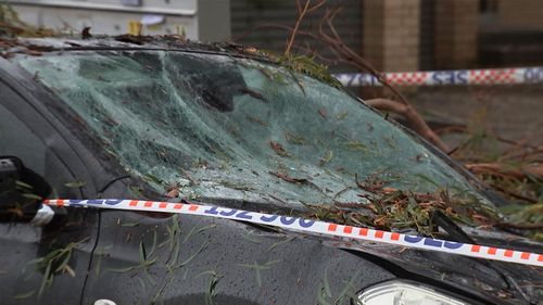 Car windshields were smashed in the storm and more than a dozen calls were made to the local SES.