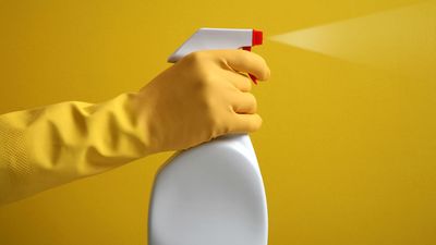 Seven unusual habits with surprising health benefits 
