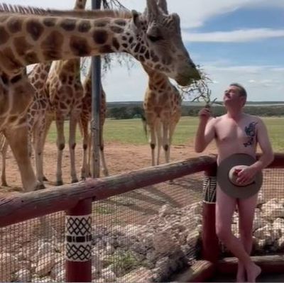Adelaide Zoo staff bare all to raise funds for conservation