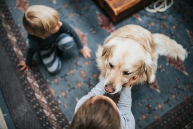 Kids playing with a labrador.